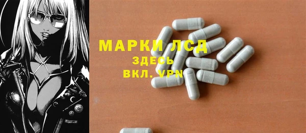 твердый Арсеньев