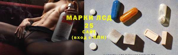 твердый Арсеньев