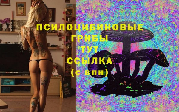 твердый Арсеньев