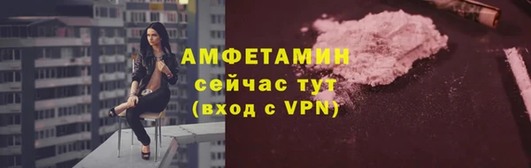 твердый Арсеньев